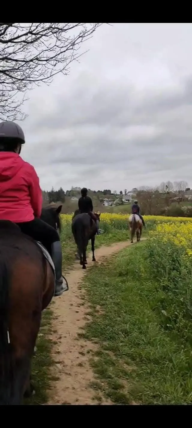 Sortie à cheval en extérieur au centre équestre Équi 22 à Yffiniac