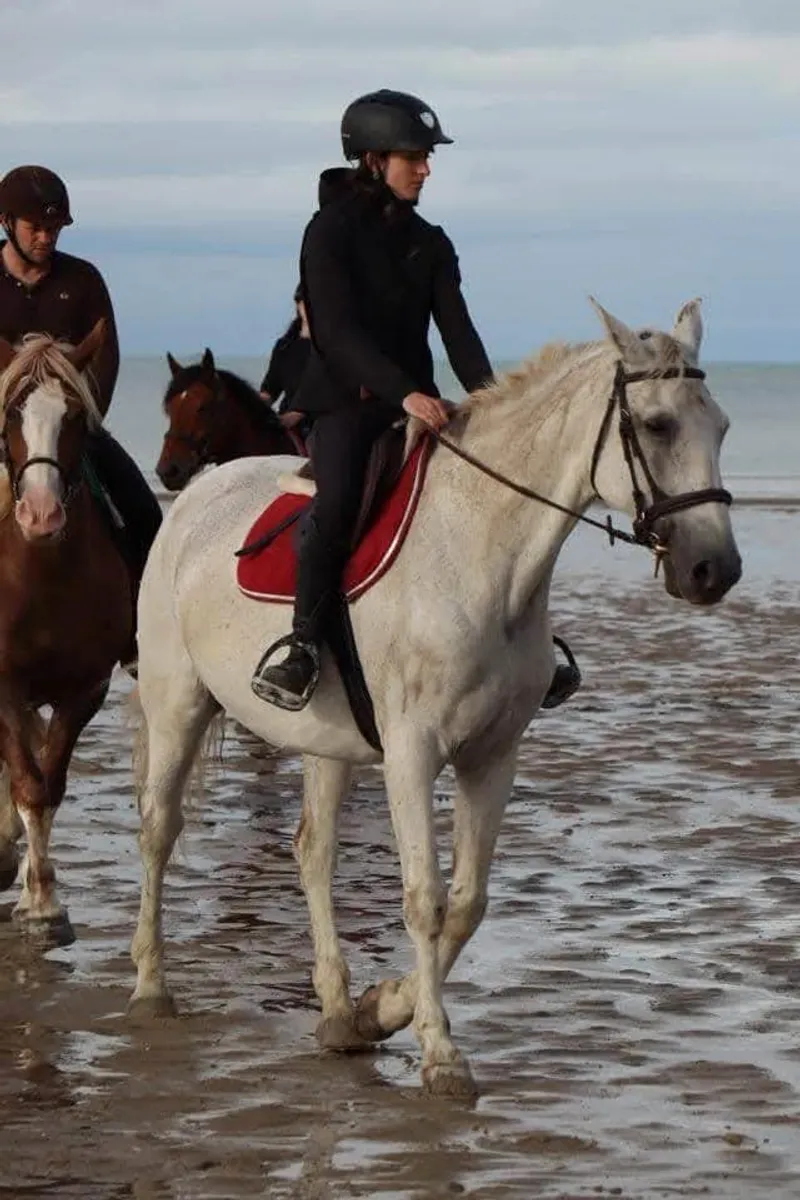 Balade sur la plage depuis le centre équestre Équi 22 à Yffiniac