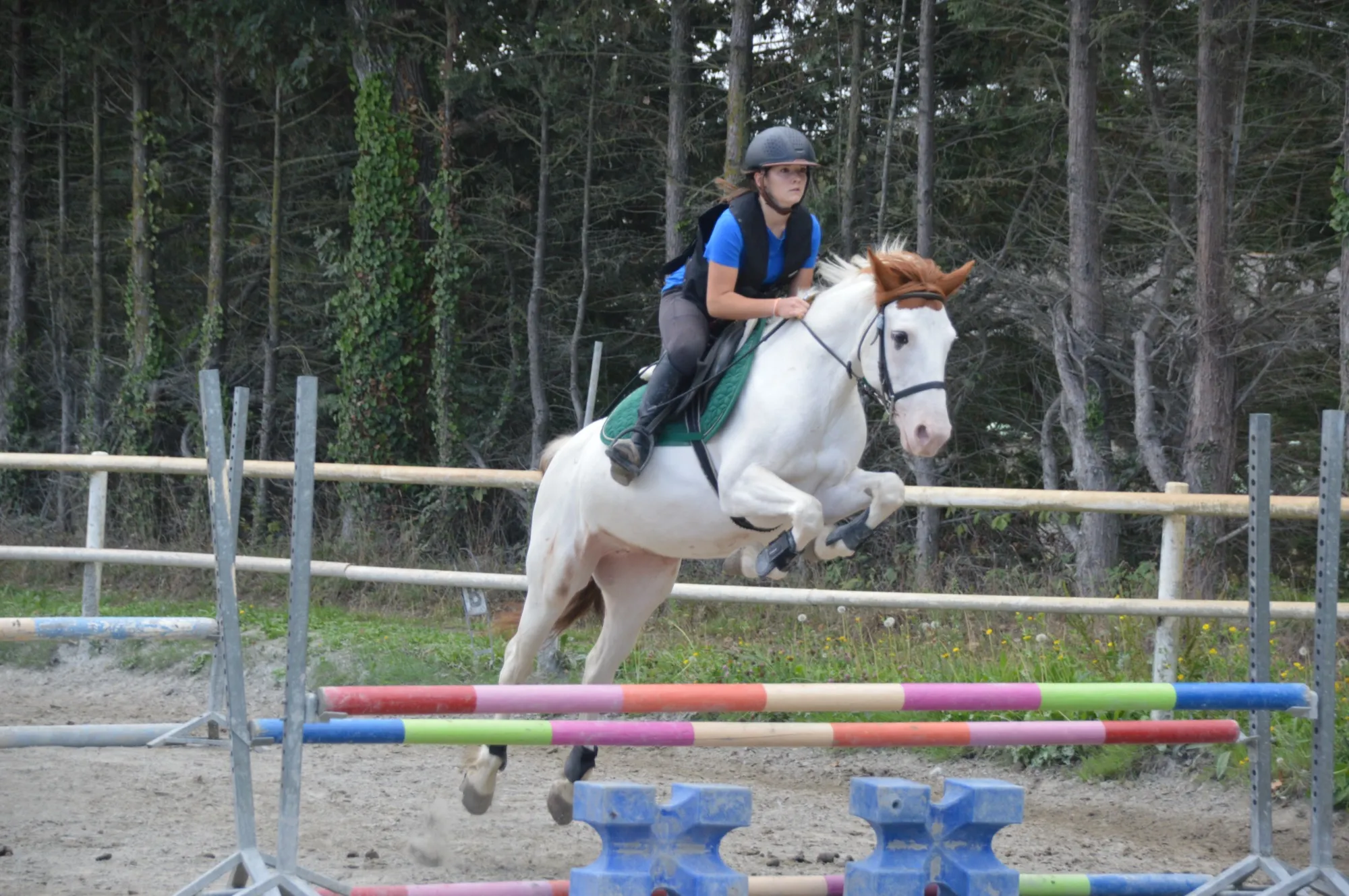 Cavalier franchissant un obstacle lors d'un concours de saut d'obstacles au centre équestre Equi 22 à Yffiniac