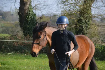 Poneys et chevaux du club au centre équestre Equi 22 à Yffiniac