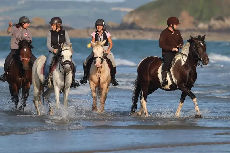 Vue du centre équestre Équi 22 en pleine nature bretonne