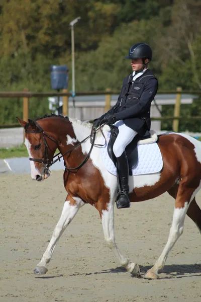 Adultes en cours d'équitation dans un cadre détendu au centre équestre Equi 22