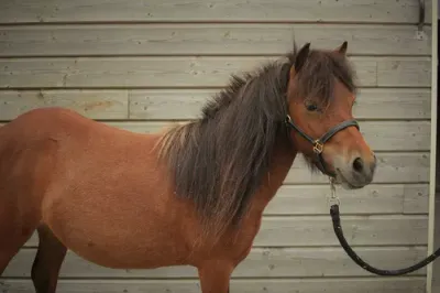 Photo de Bahira Saint Germain