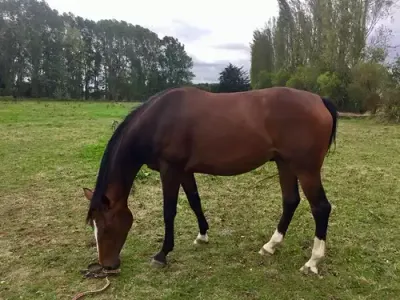 Photo de Jackyria Camara