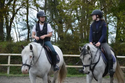 Installations de pension pour chevaux au centre équestre Equi 22 à Yffiniac