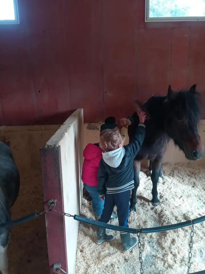 Séance équestre encadrée pour un groupe scolaire au centre équestre Équi 22 à Yffiniac