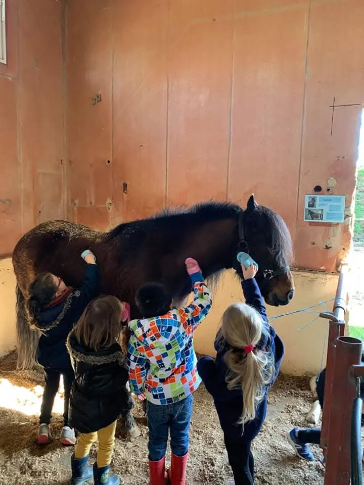 Enfants découvrant les poneys lors d'une sortie scolaire au centre équestre Équi 22